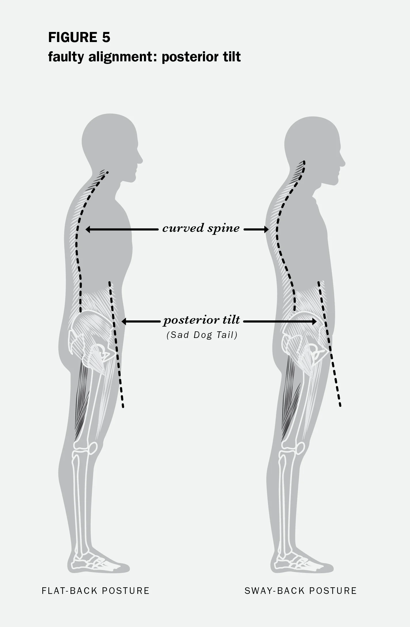DaileyWorkout-01.jpg