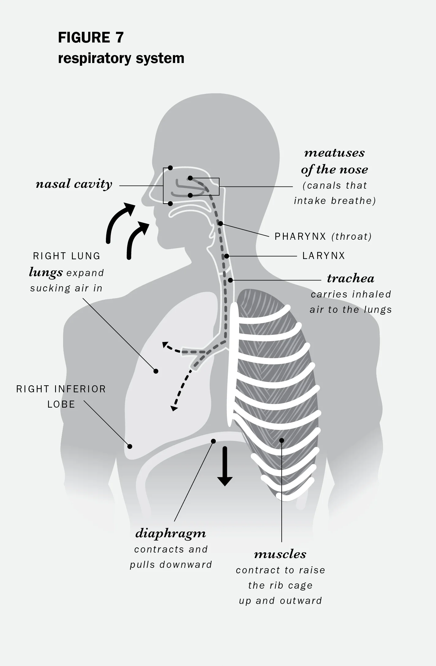 DaileyWorkout-03.jpg