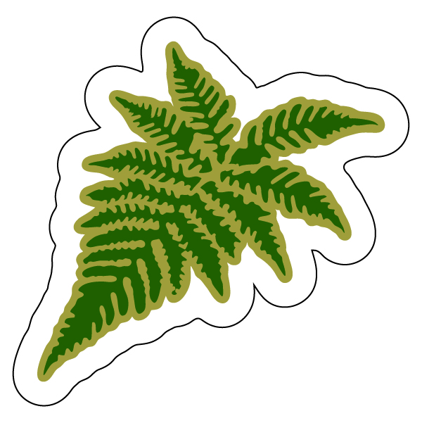 IDOP_FPO_BeechFern.jpg