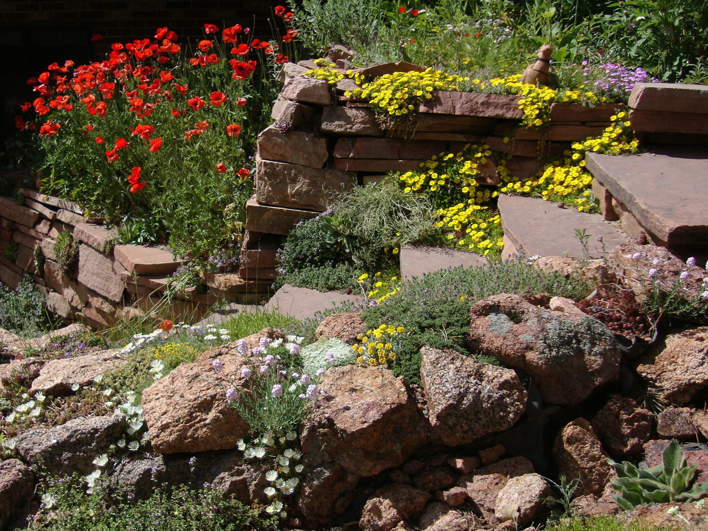 Ep. 306 - The Art & Science of Rock Gardening