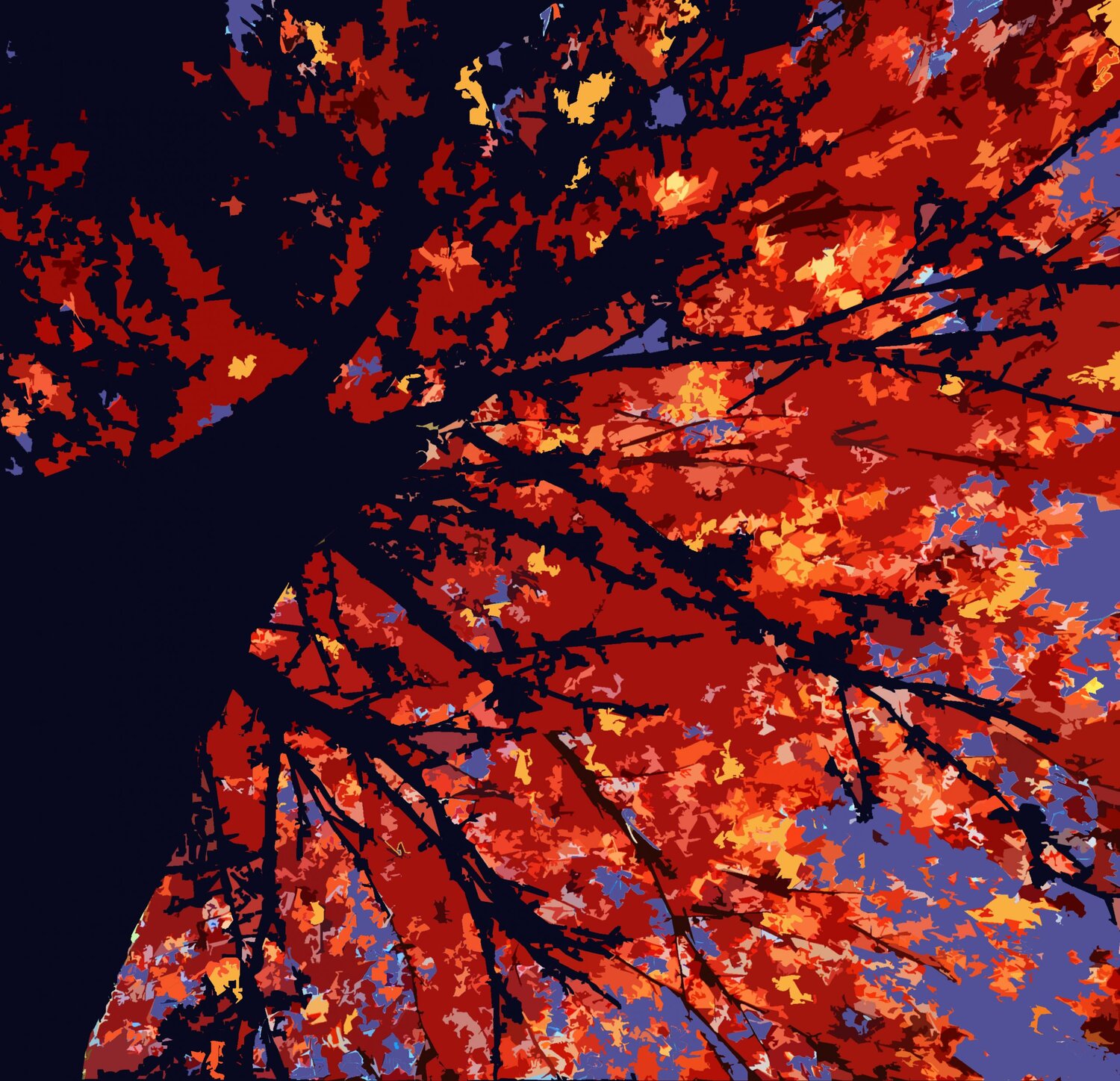 Ep. 308 - The Stree Life of Trees