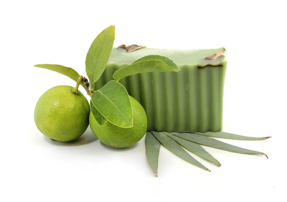 eucalyptus lime.JPG