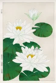 White lotus : Calming, soothing, and balancing for the mind, as well as the skin. ewg = 1