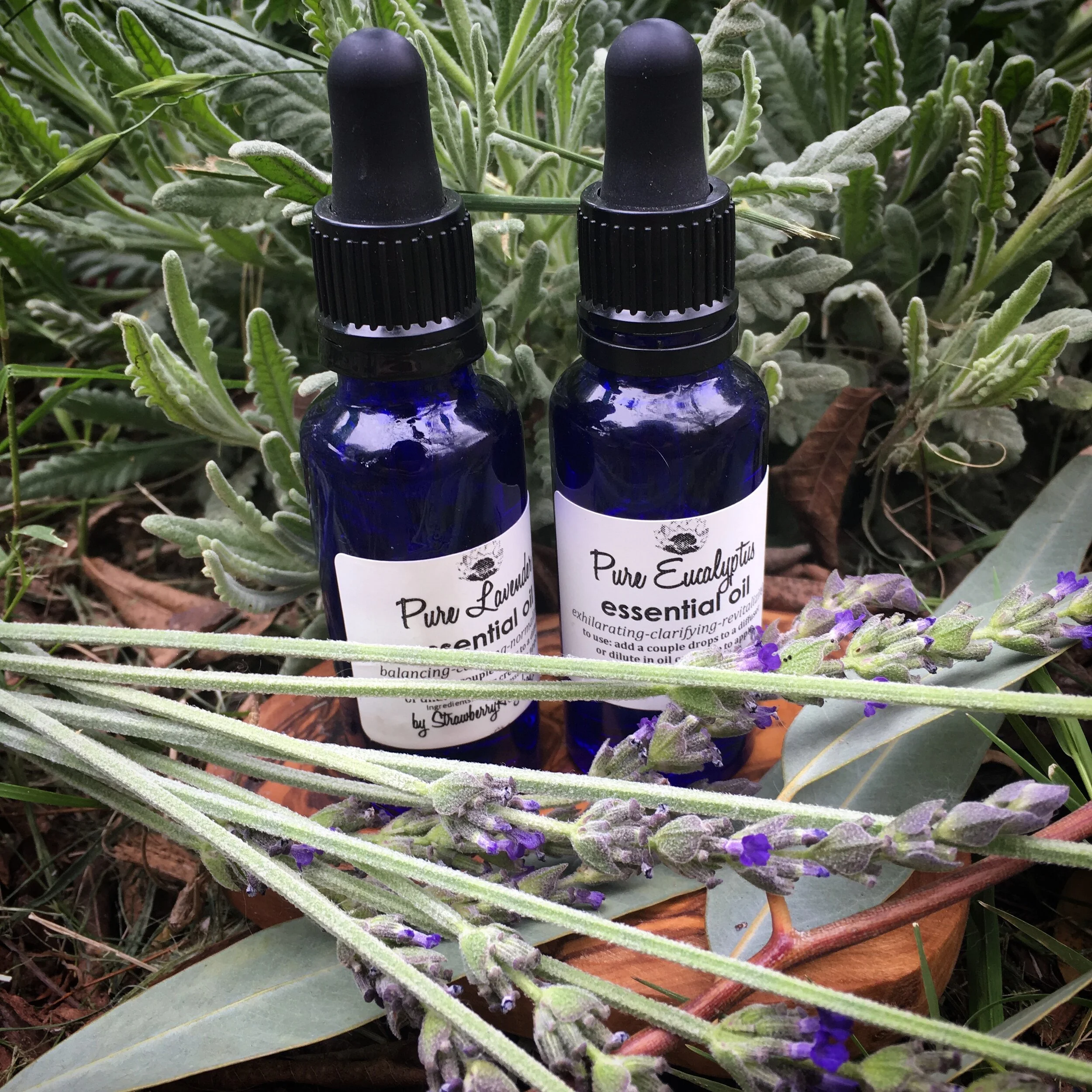 8415B6F0-F39C-4FCB-B50B-F65E8309C07E