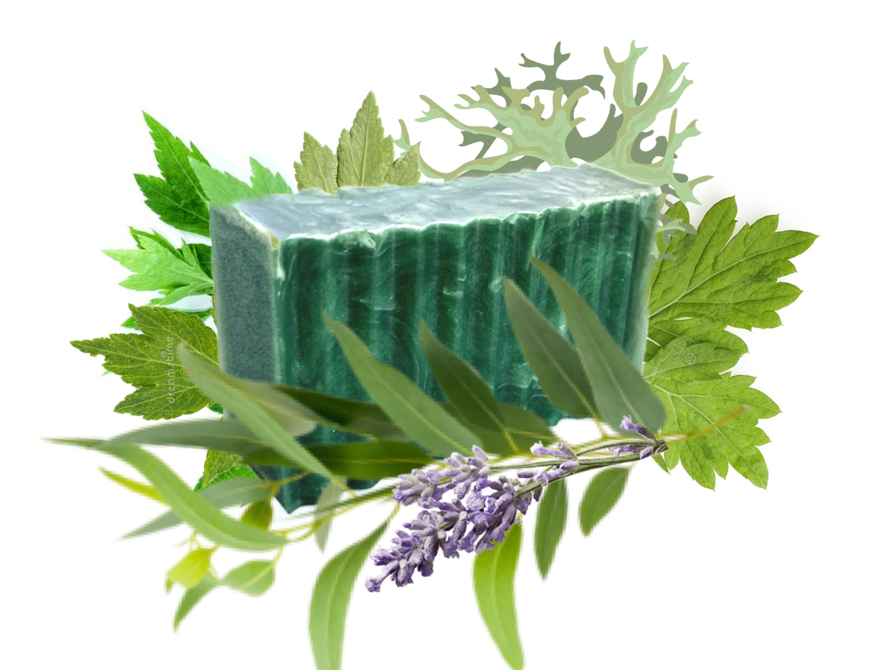 2FD5DD13-69A7-4E08-91E2-AEBC80D084EA