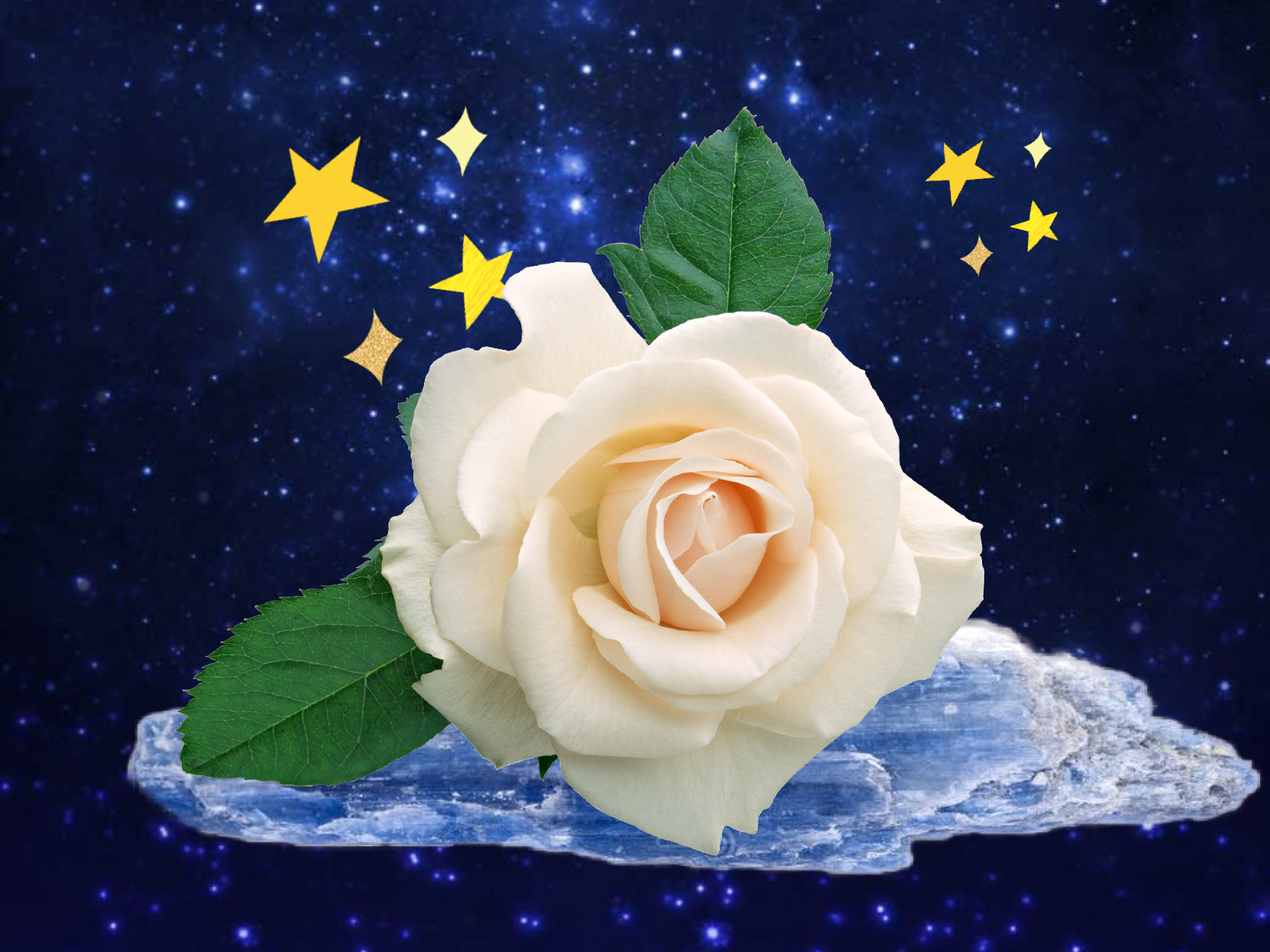 4228D533-F1EA-4E1A-81C3-B38AA14C6F5B