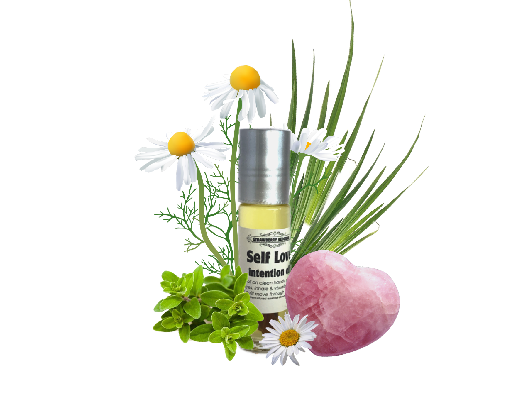 FFC54364-2C26-4A8A-BC97-F833FDDE61CD