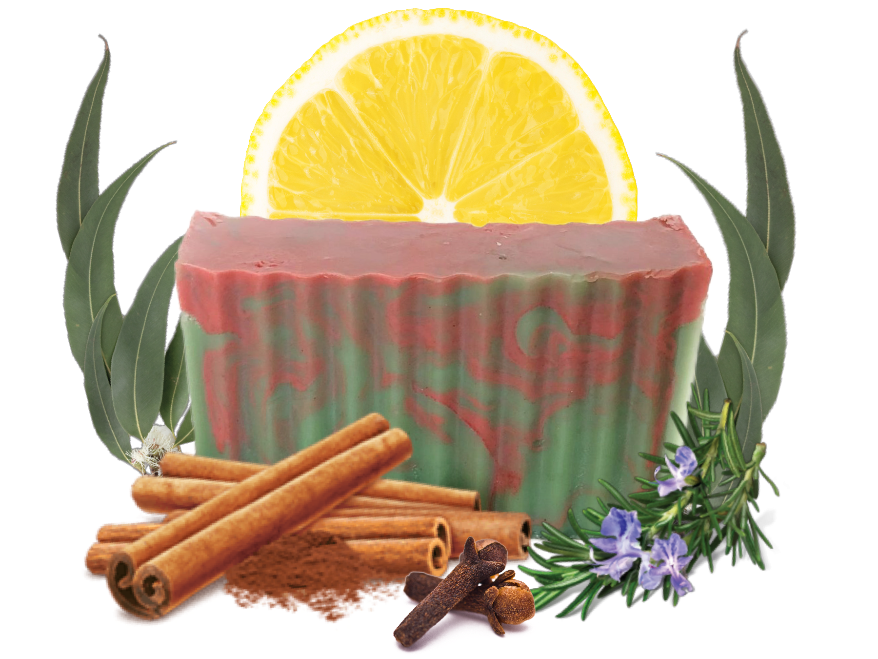 38F52AD7-4F82-4595-9BD6-8849FE07212F