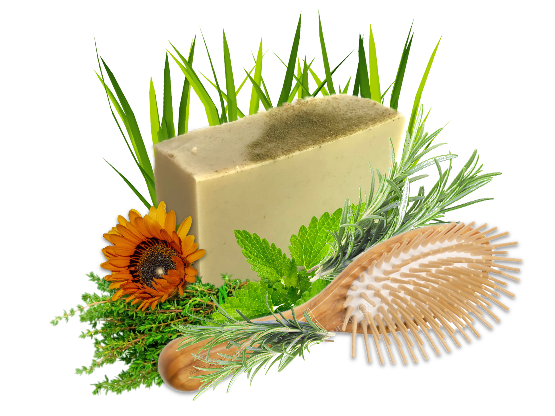 733A0899-910D-46FD-8C95-E42781B8EE42