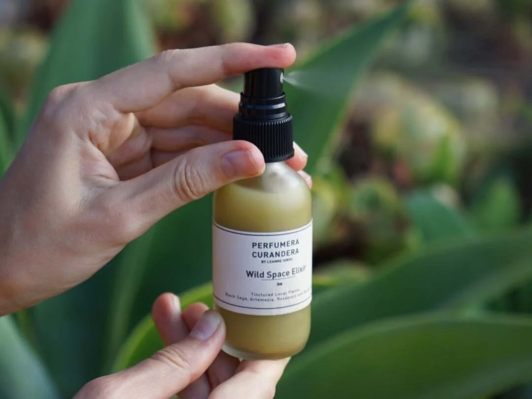 Wild Space + Body Elixir - $38