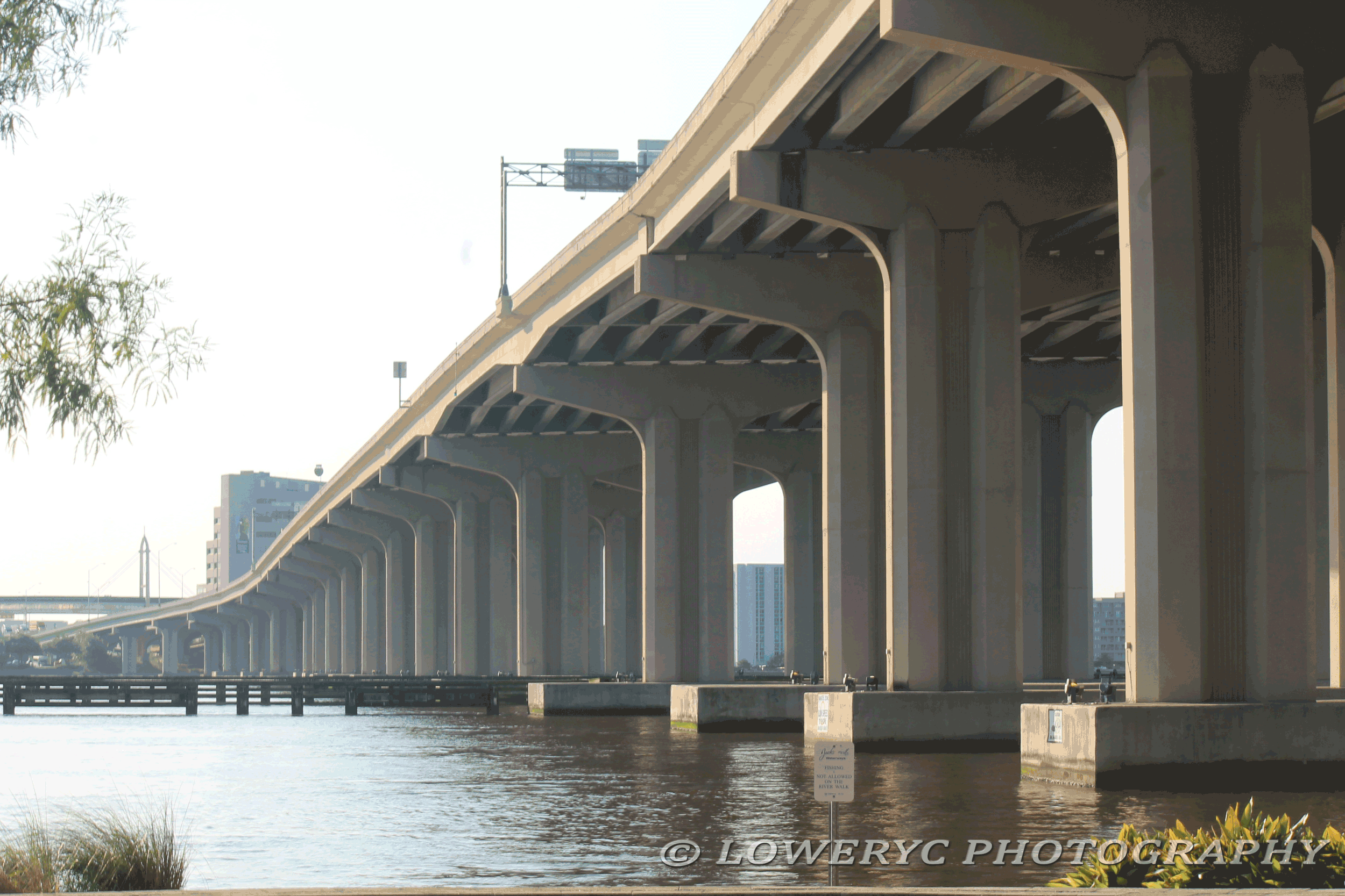 Fuller Warren Bridge