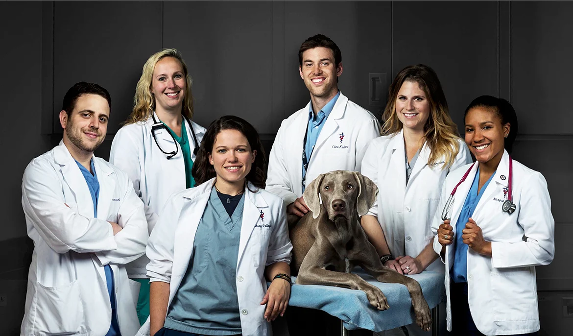 Penn_Vet_Cast.jpg
