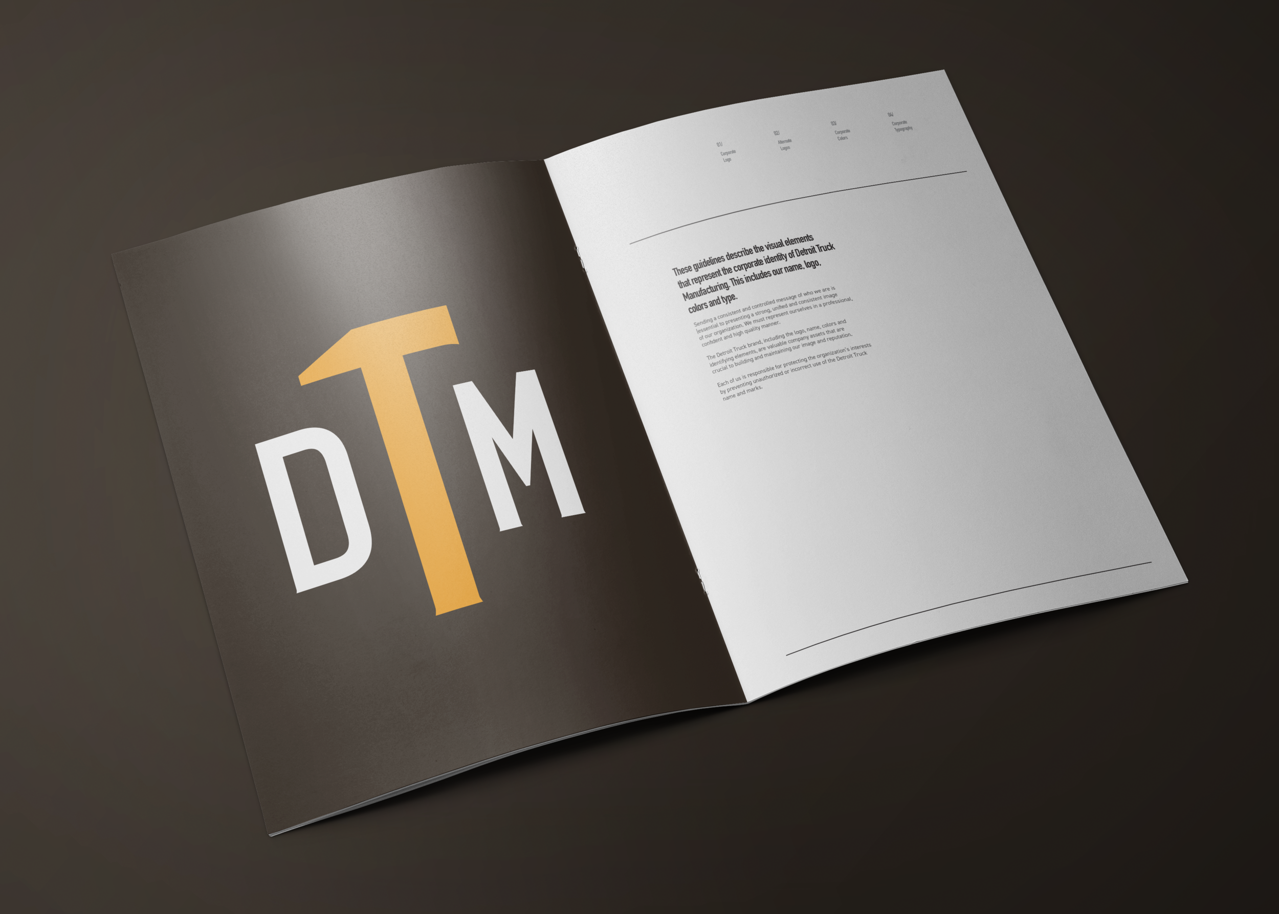 DTM Logo Guide Book_Mock S1.png