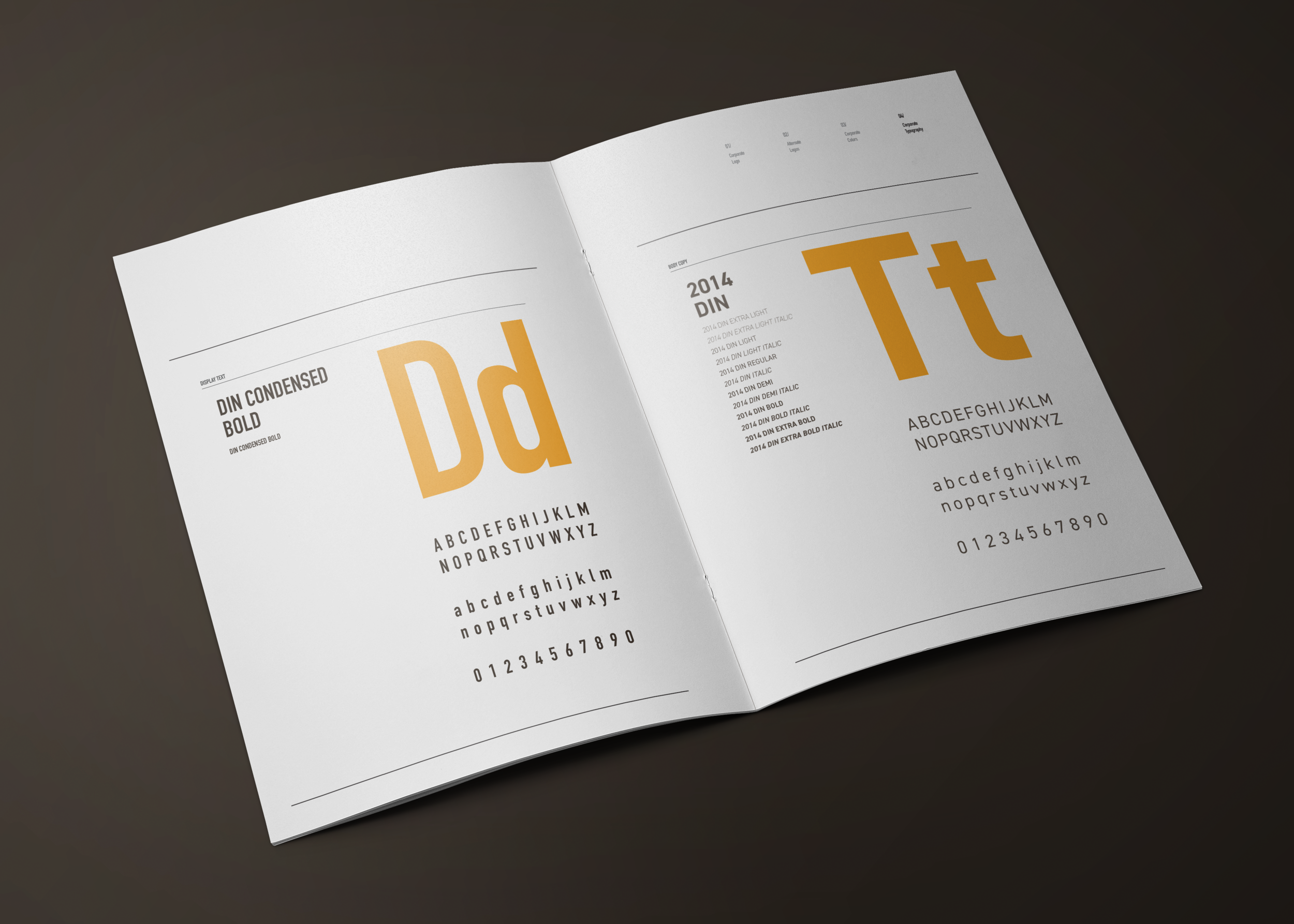 DTM Logo Guide Book_Mock S7.png