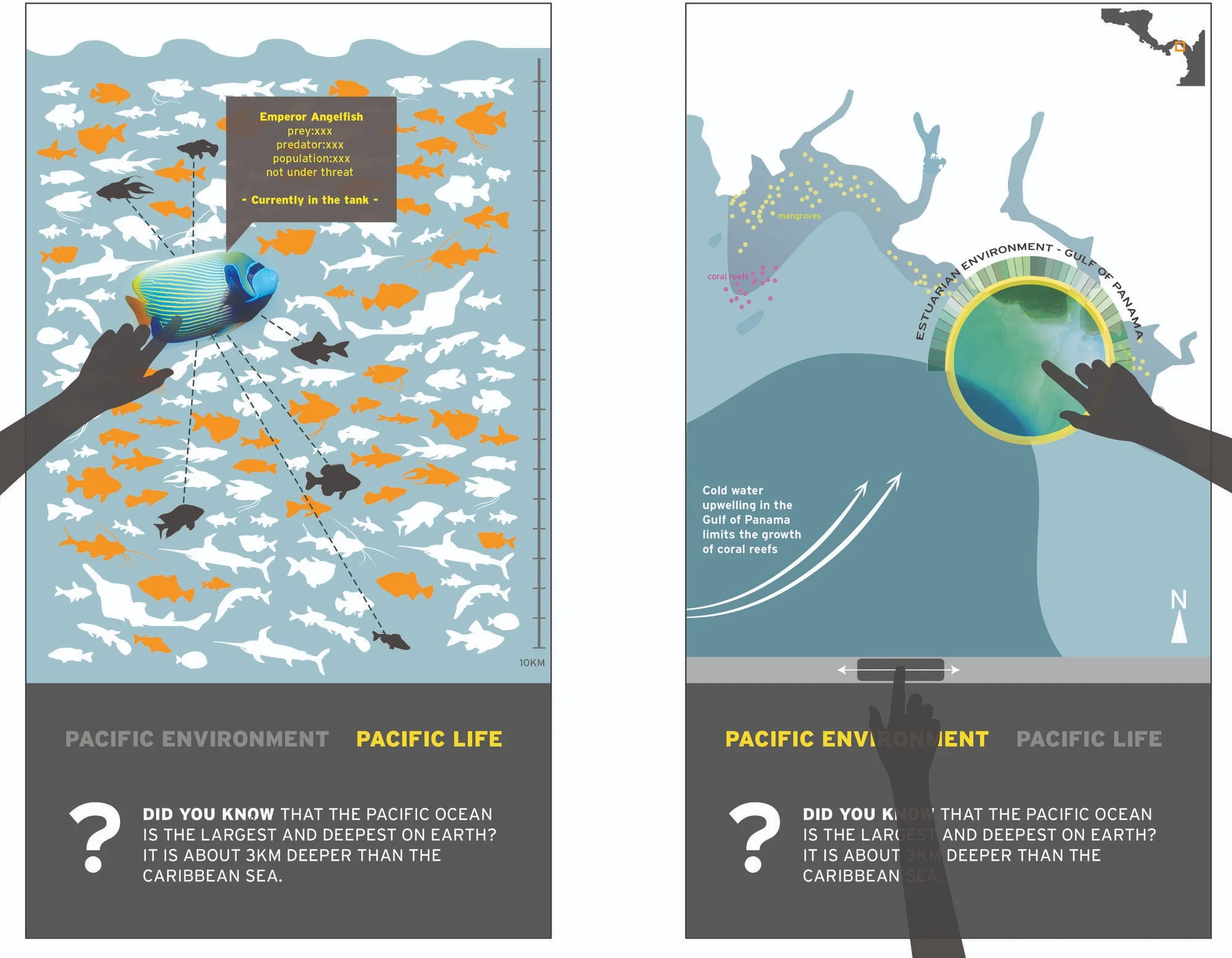BioMuseo_final stage_UI design_4-01.jpg