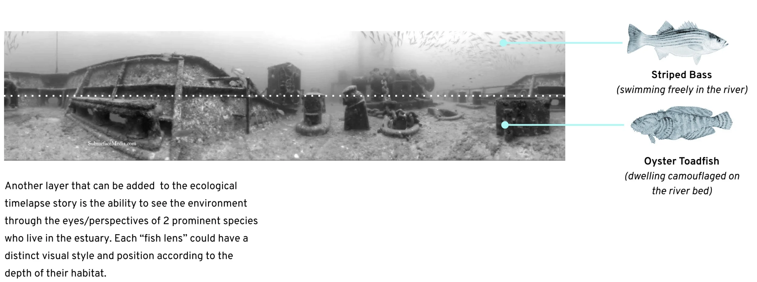 Screen+Shot+2019-04-28+at+8.58.04+PM.jpg