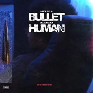 Life of a Bullet, Life of a Human