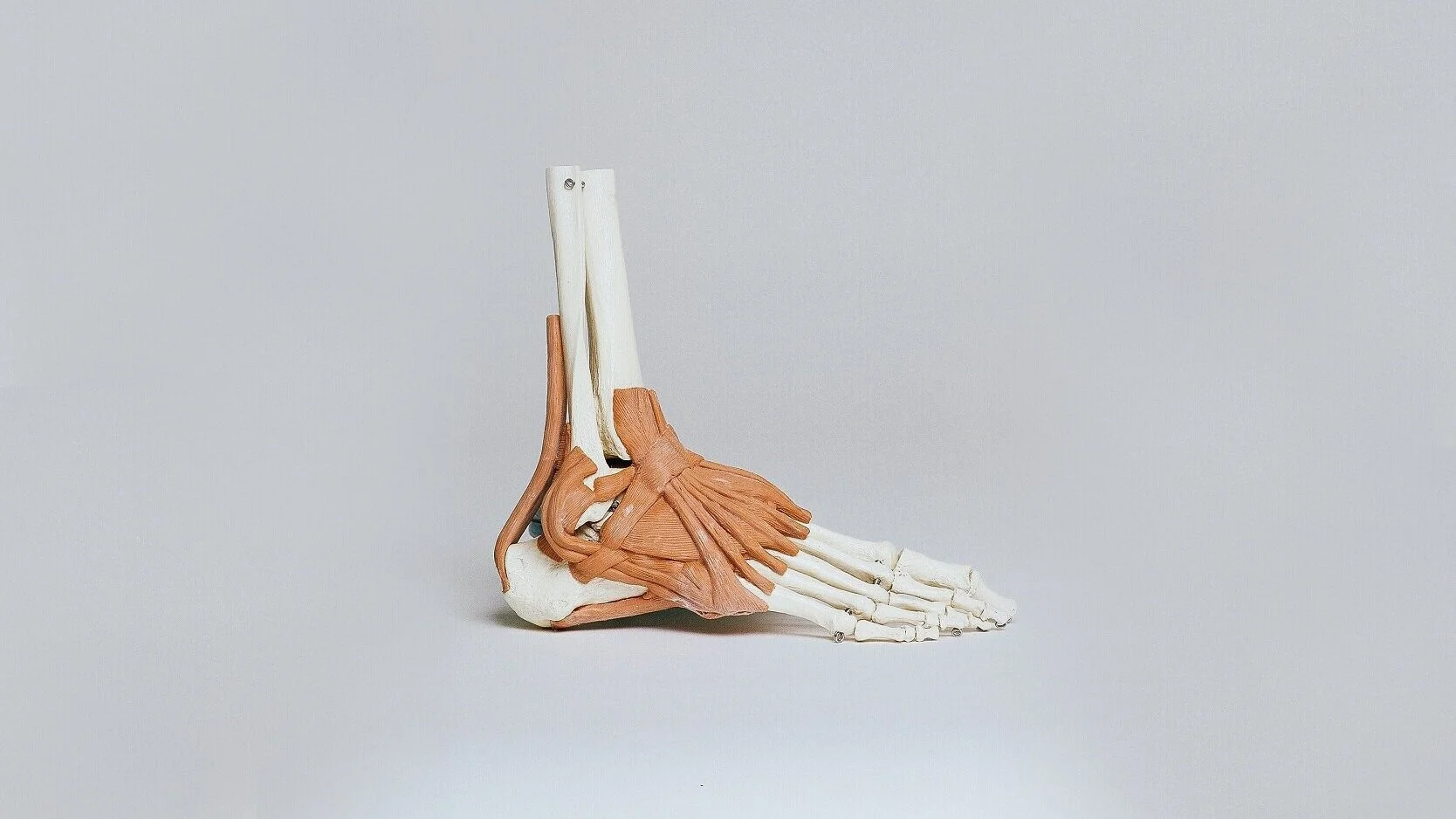 Achilles tendon injuries
