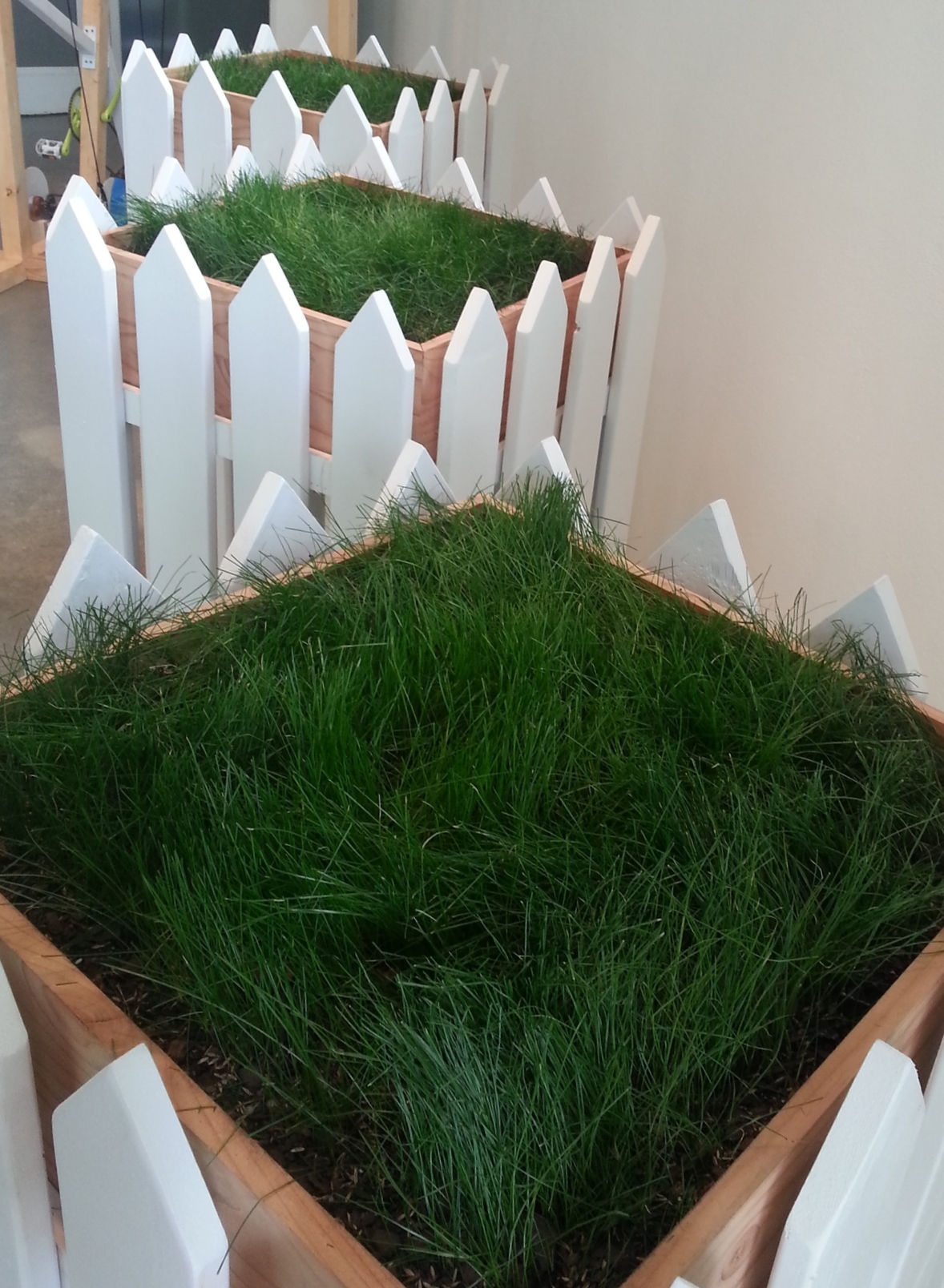 suburban warfare (1).jpg