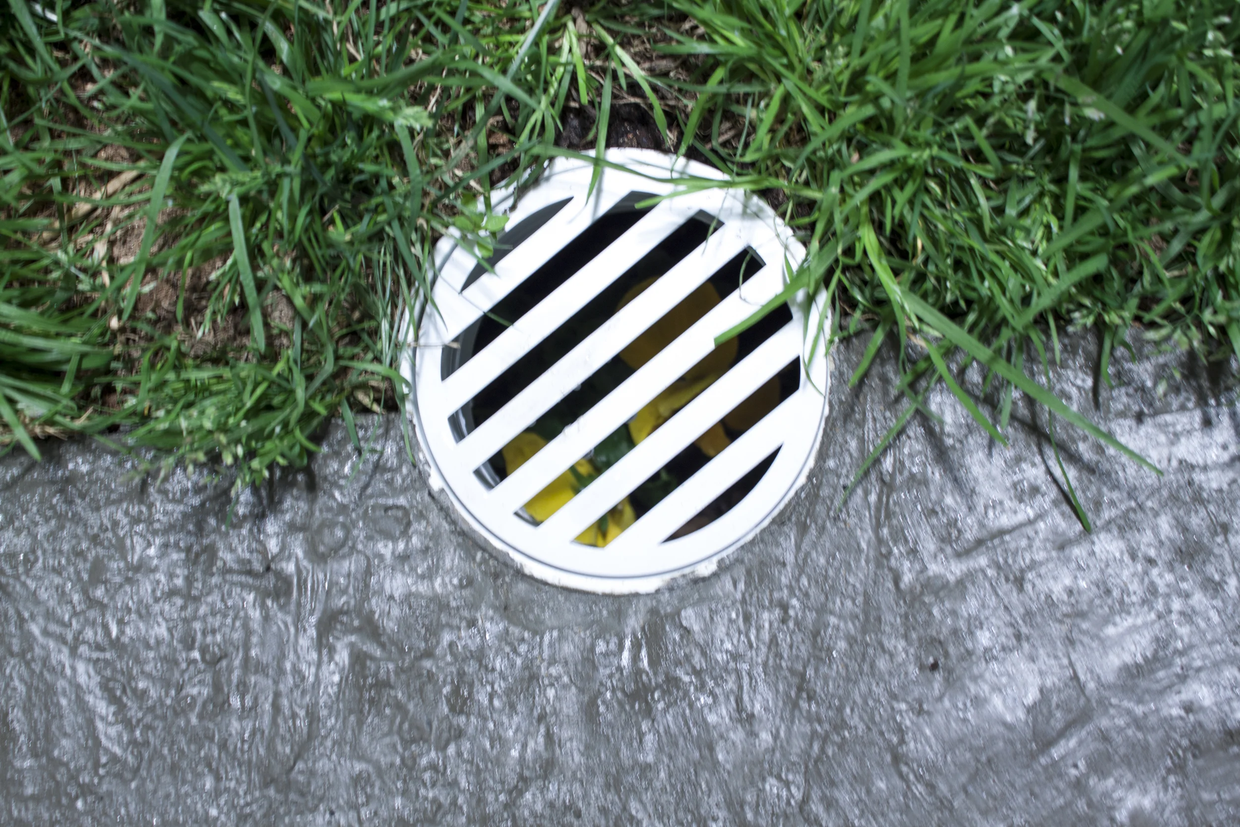 Flower Vessell 1.jpg