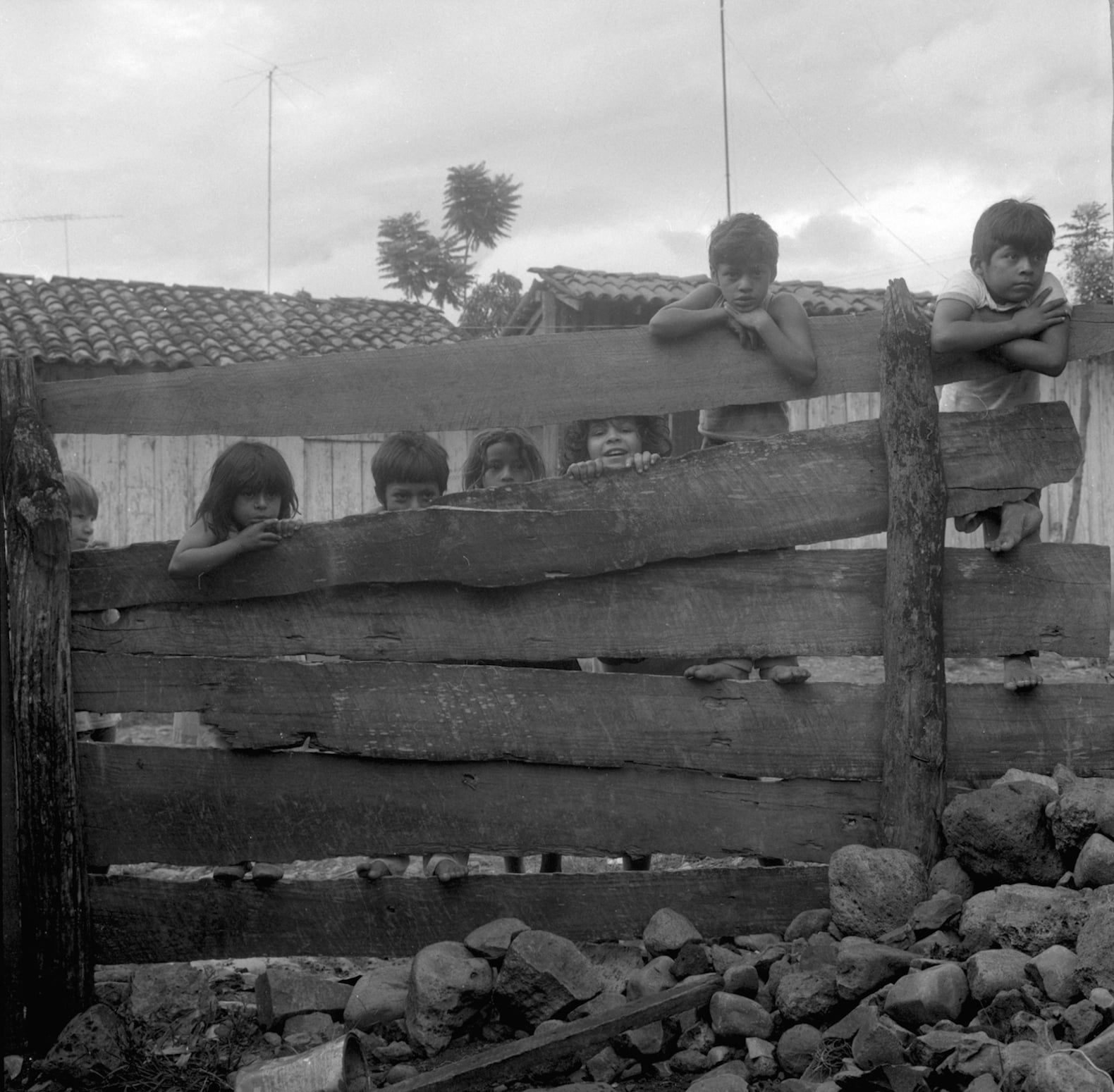 15.kids watching jpeg.jpeg