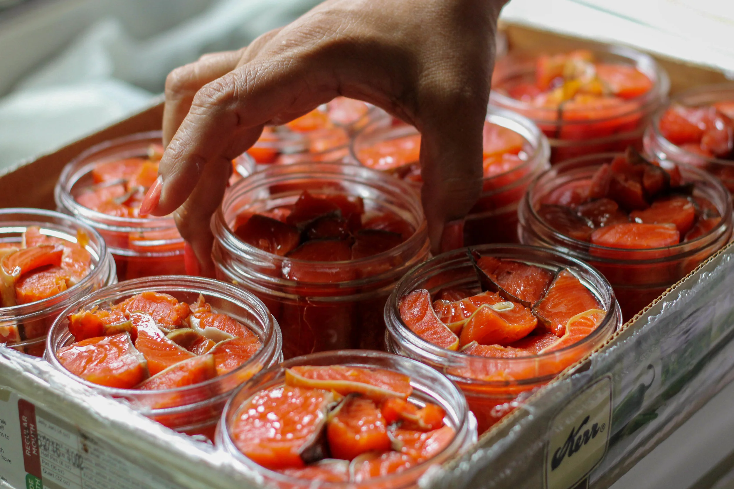 Canned Salmon