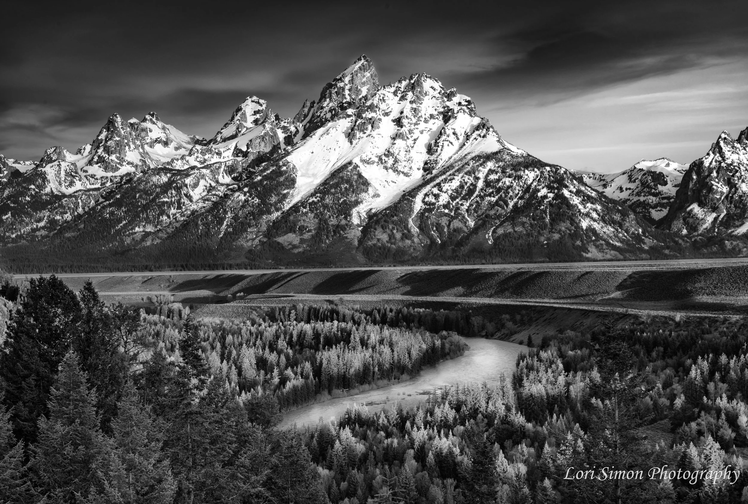 snakeriver2silverfxpro.jpg