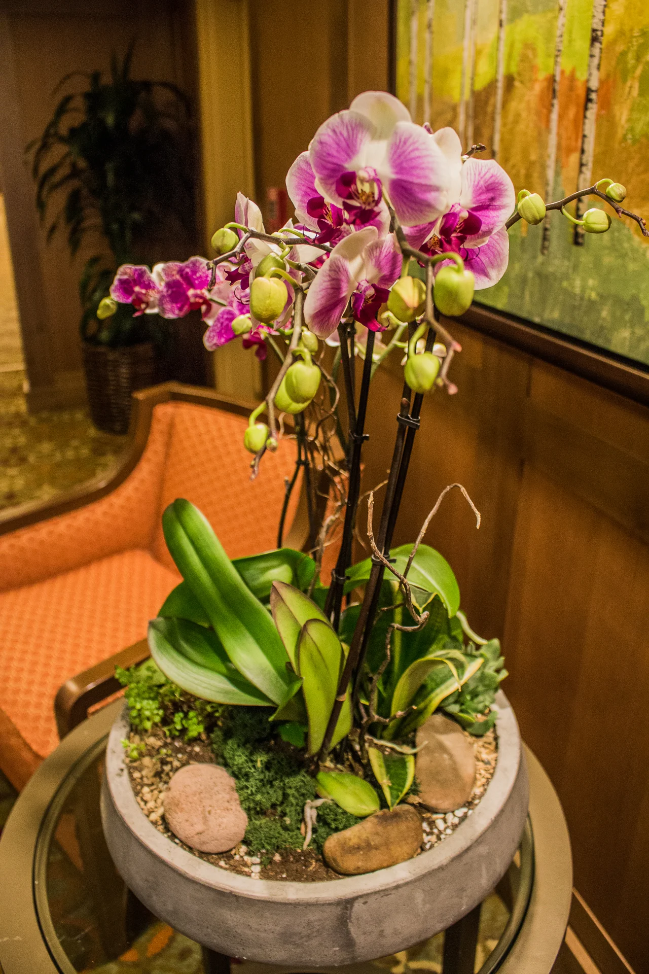 CoastLiveJan2019-82.jpg