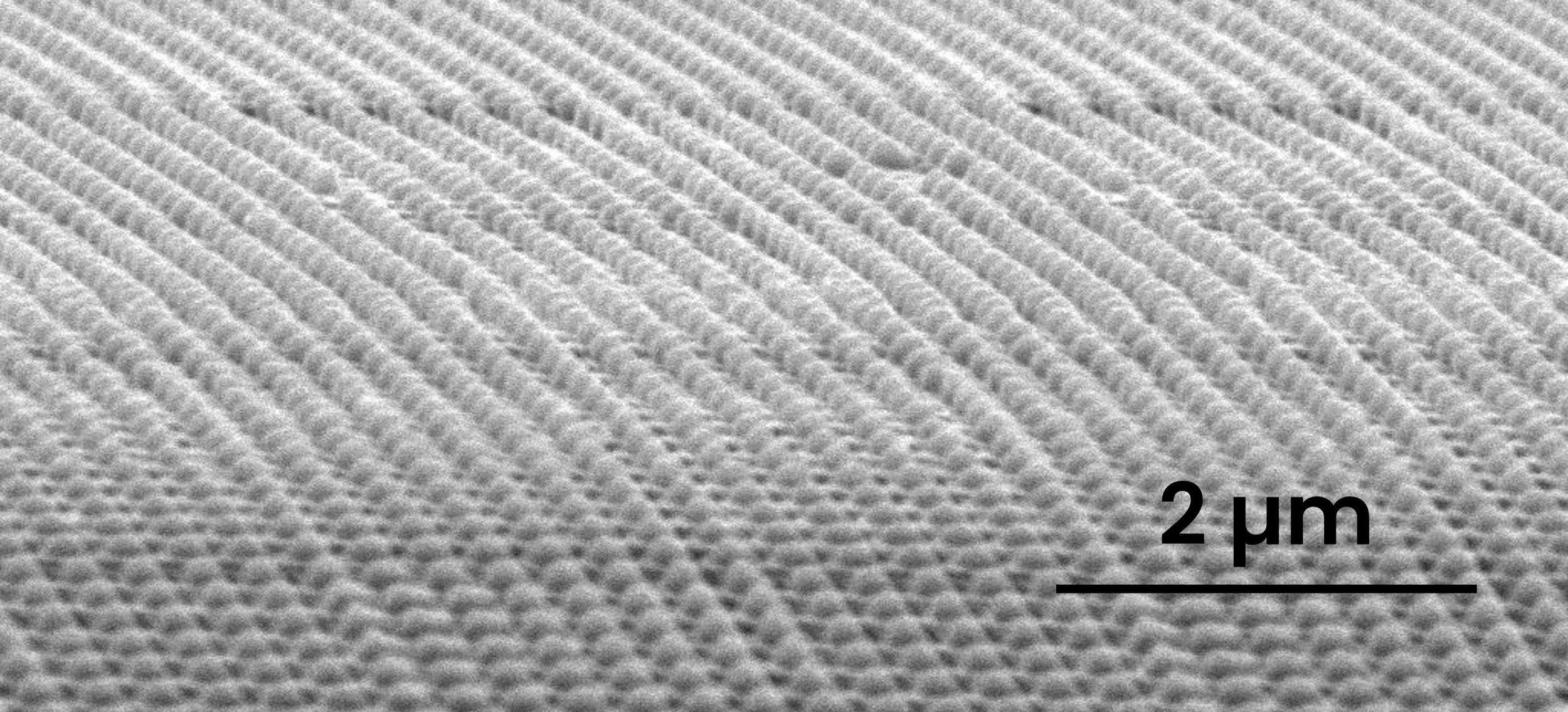 Photo (top) and SEM (bottom) of R2R-nanopatterned polymer