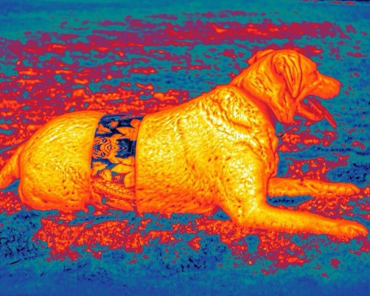 FLIR
