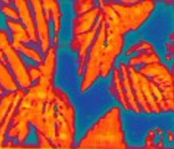 FLIR - Reflective IR Camo