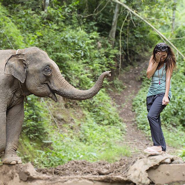 Chiang Mai, Thailand