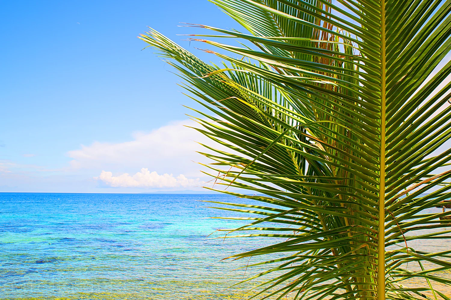 Oslob, Philippines