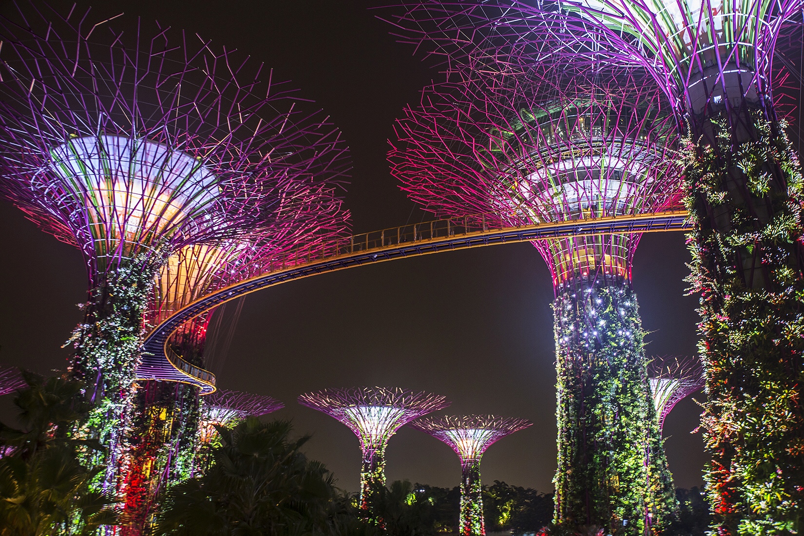 Gardens By The Bay, Singapore