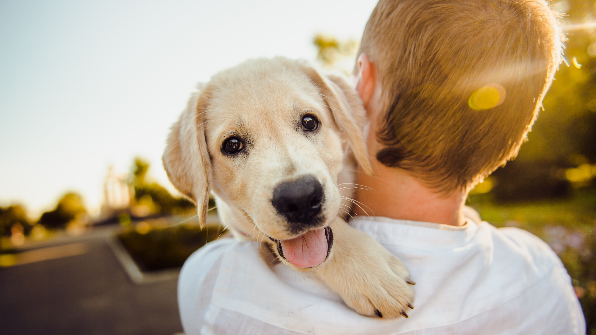 To Succeed in the ‘Relationship Age,’ Model the Behavior of this Creature