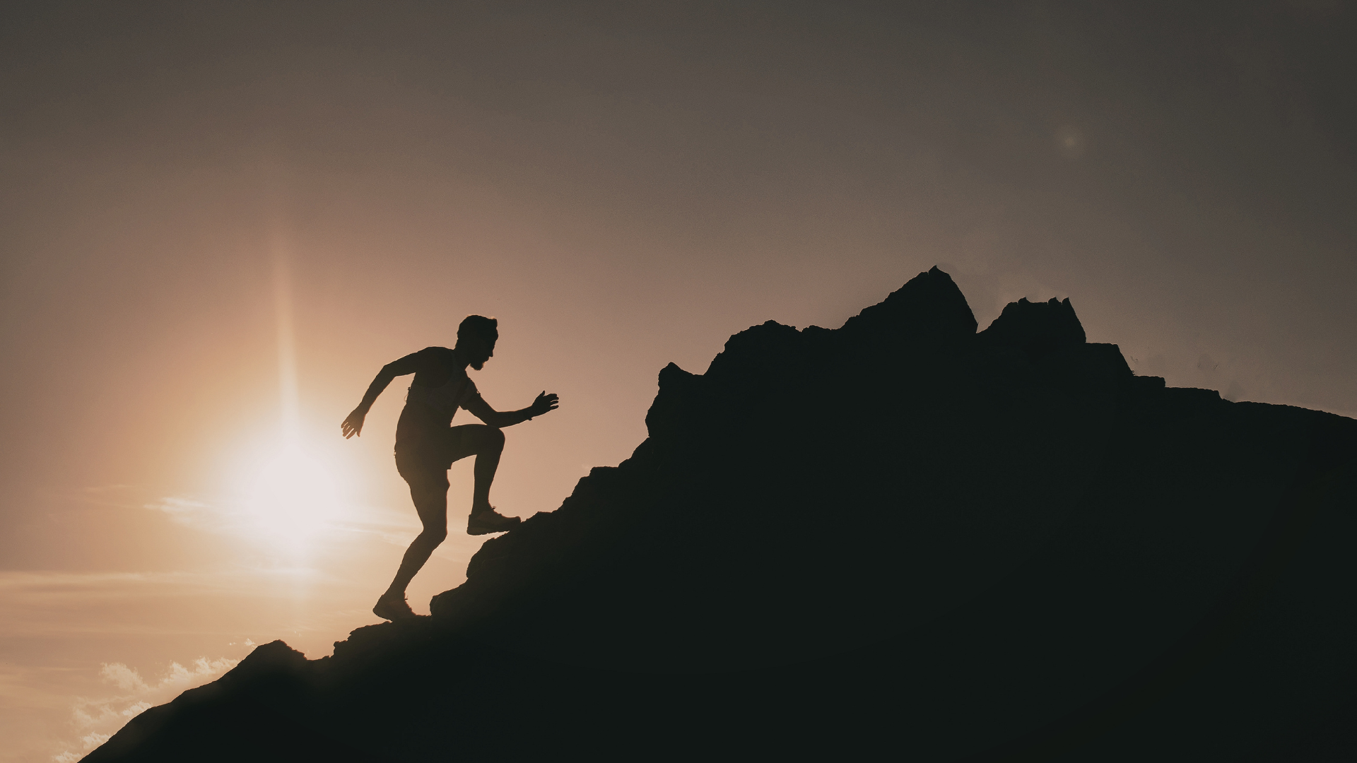 The Bamboo Farmer Is Delusional