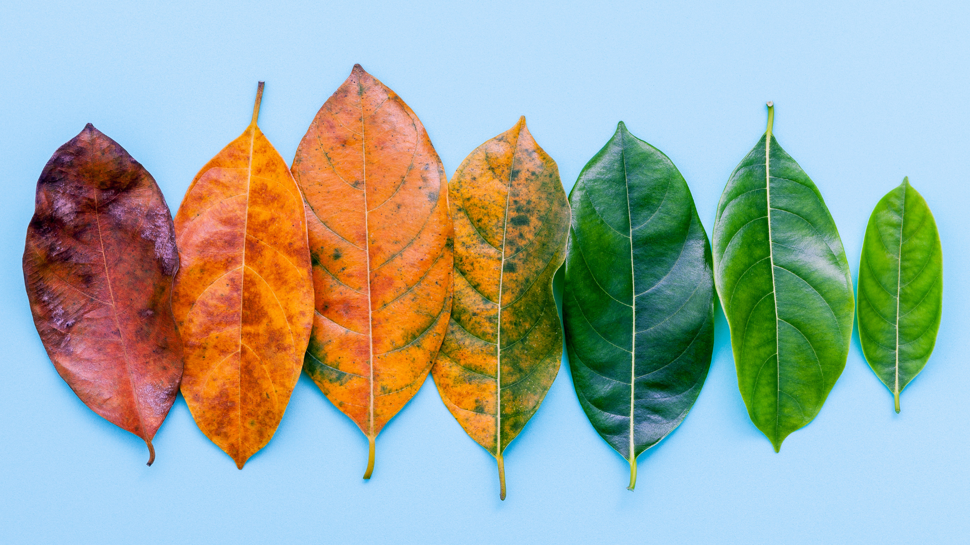 Change Is Messy (and That's a Good Thing)