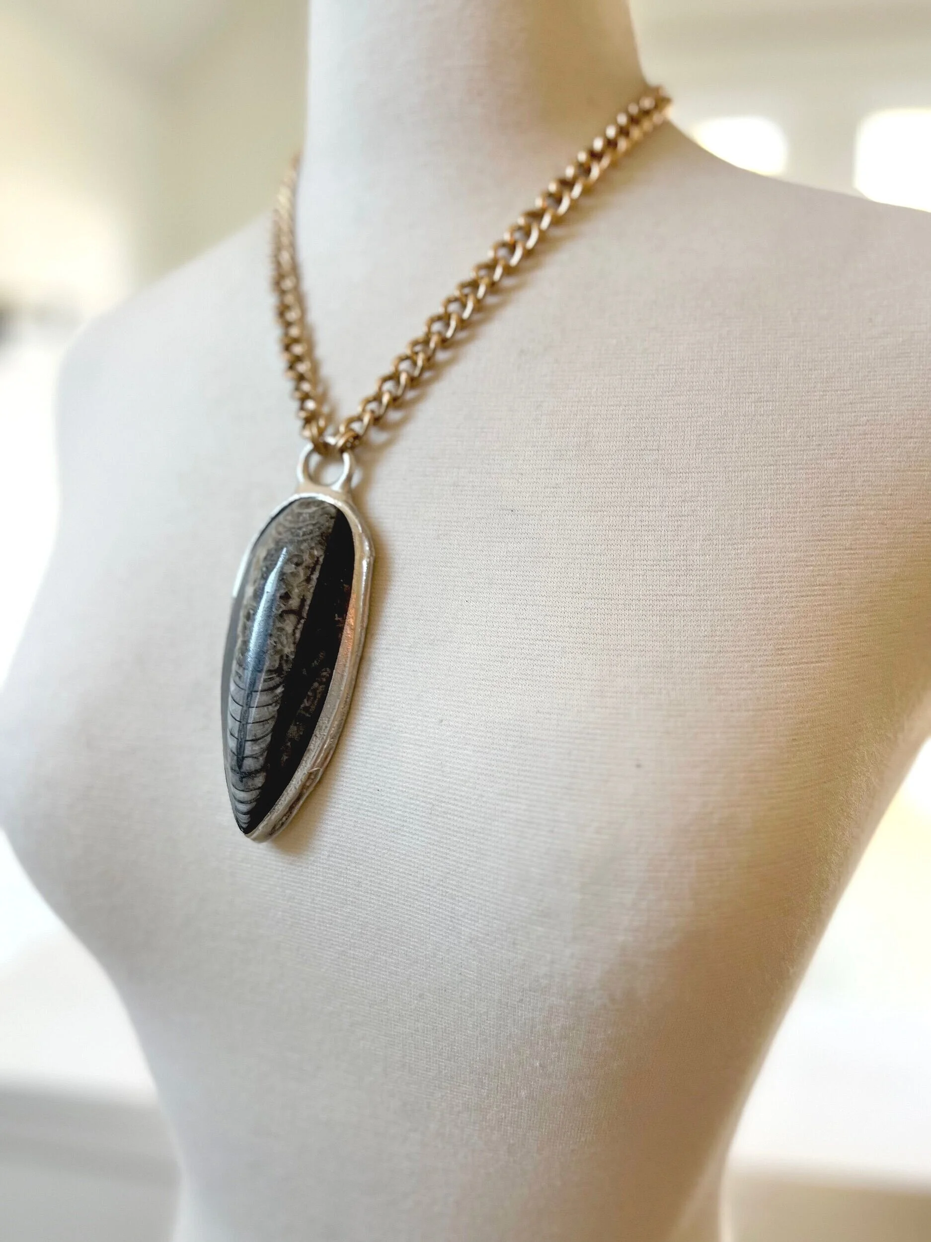 C1C697BA-7D5B-49C7-BD1D-74F3C3044BA5