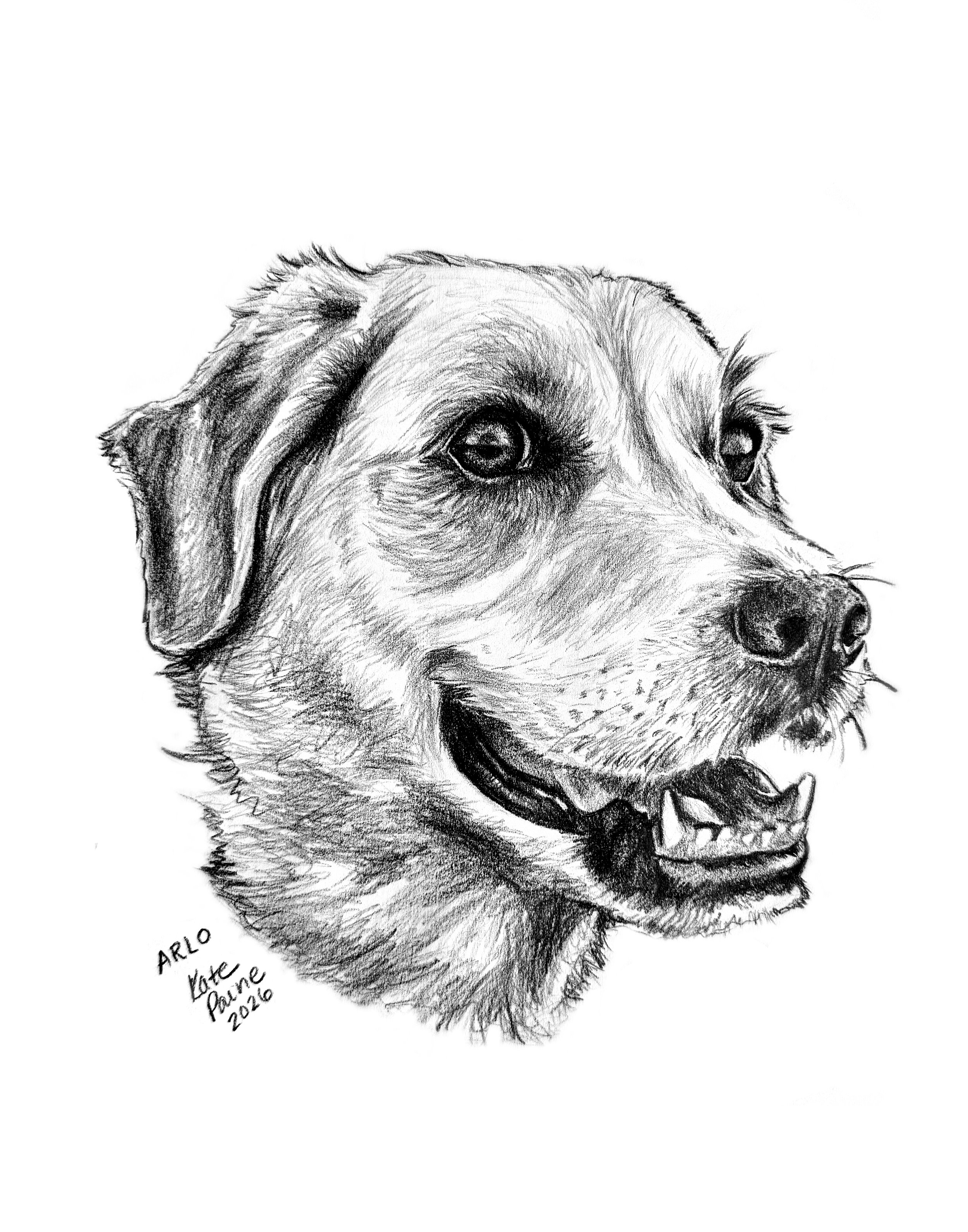 Arlo.jpg
