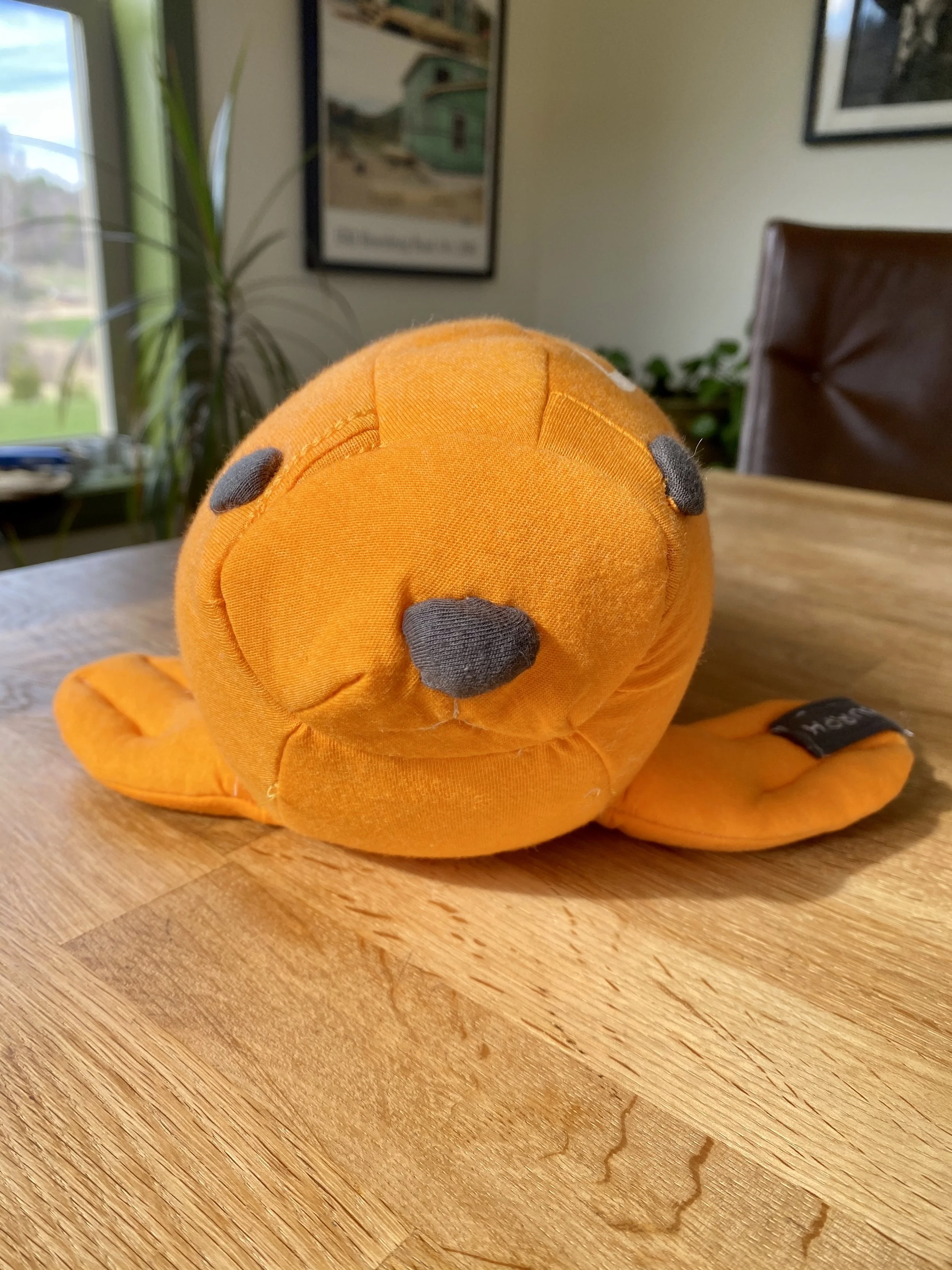  Kasper loved the color orange, and loved seals. So it’s only natural that we transformed his tee shirt into a new seal for his collection. Meet Murph, complete with a wax nose that eventually melted in the dryer.  
