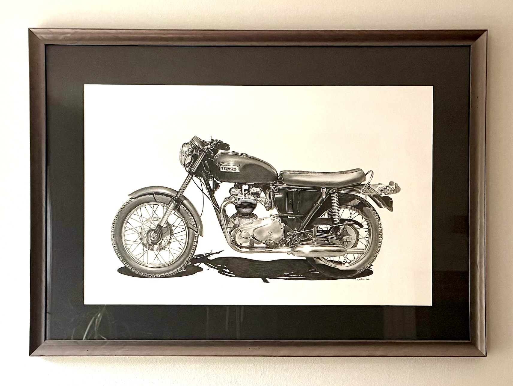 Triumph framed.png