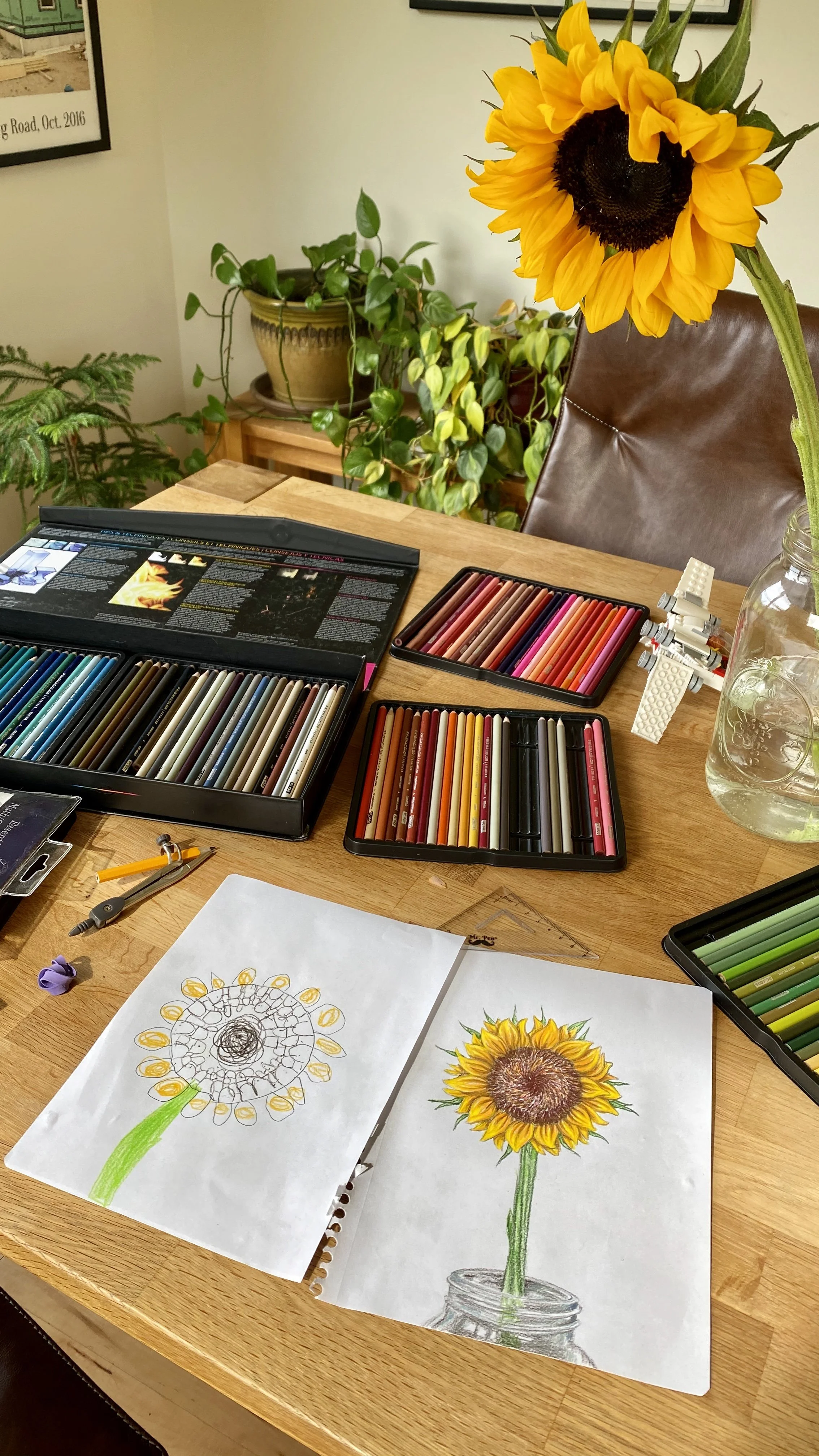 Sunflowers with Kasper