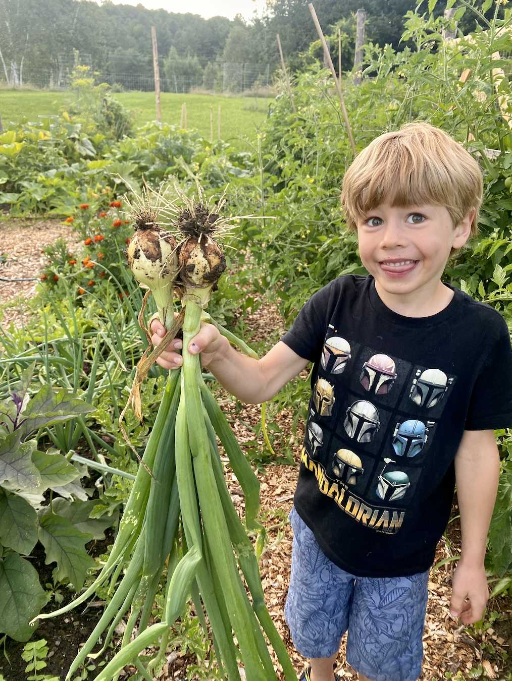 Garden Kasper.png
