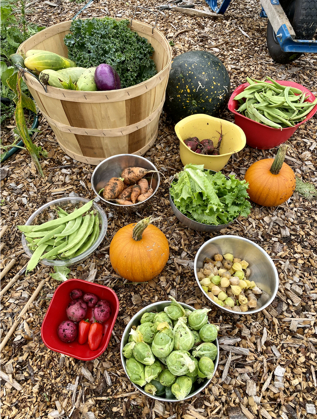 Garden.png