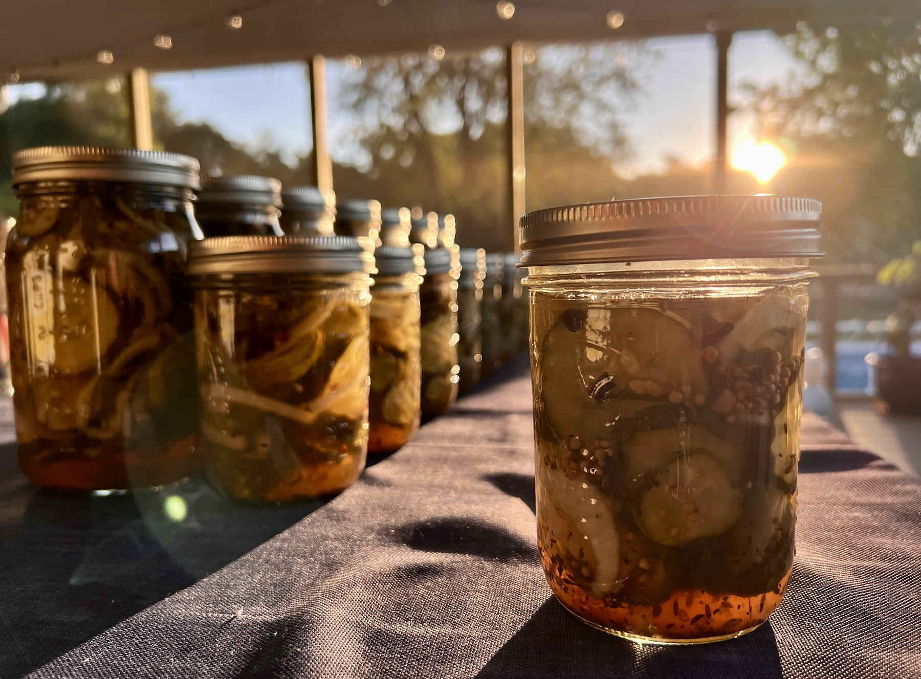Gardne Pickling.png