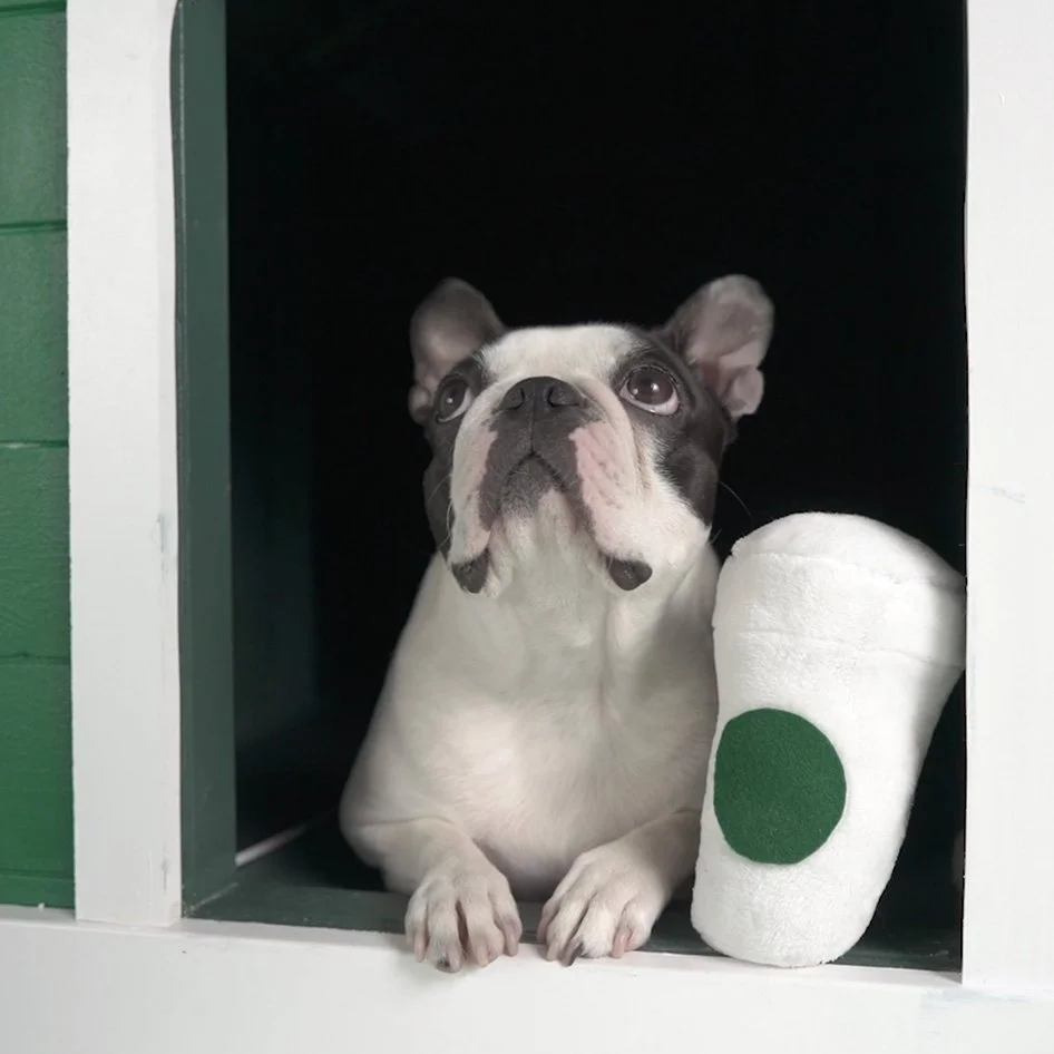 Pupbucks_BTS_04.jpg