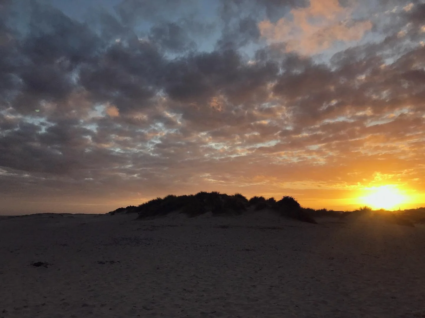 Aberdovey &gt; Abu Dhabi