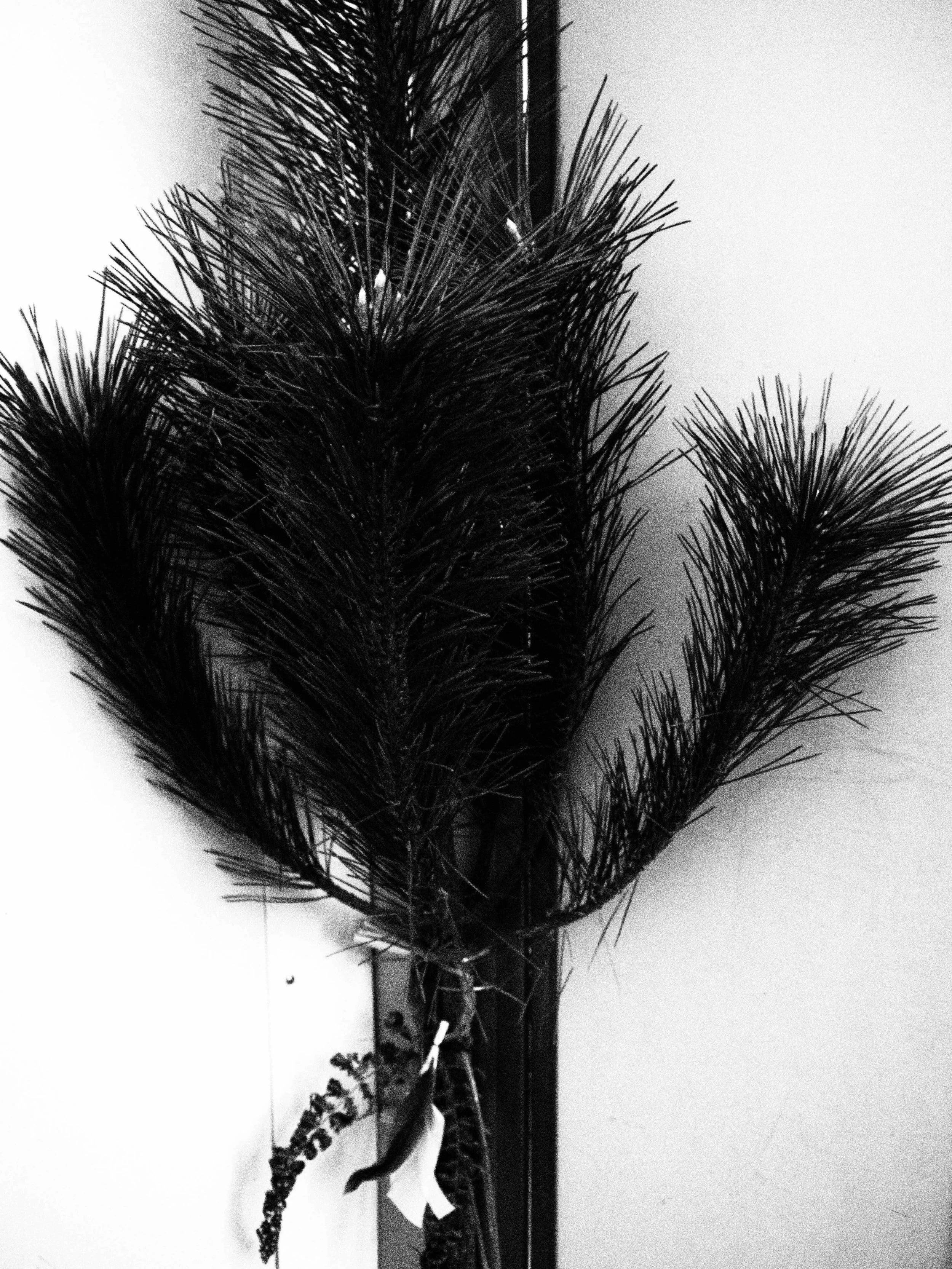 PC310405.JPG