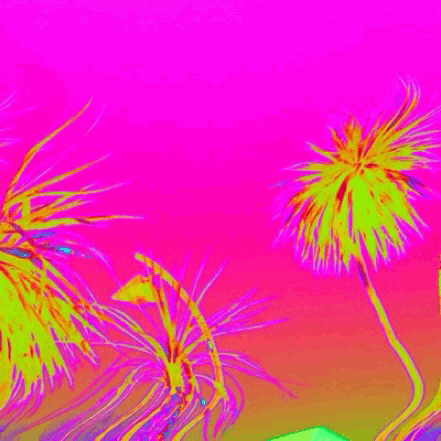 34595F05-100A-4EE5-9793-4B2FFAC955E7.gif