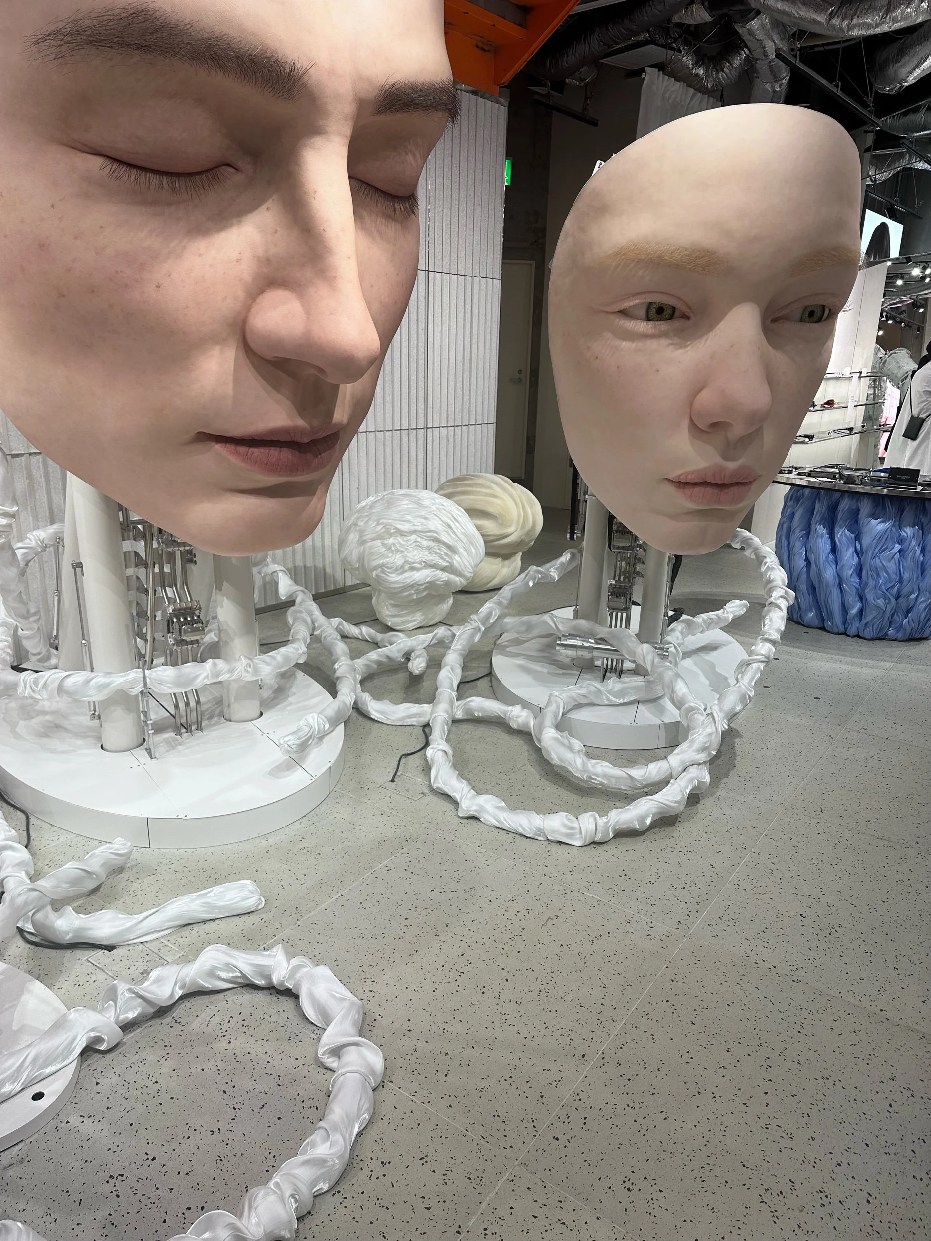IMG_6658.jpeg